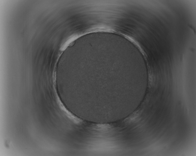 X0000103321383200809121137