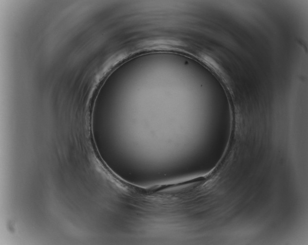 X0000103321384200809121137