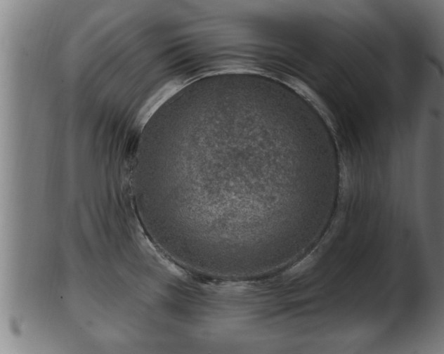 X0000103321385200809121137