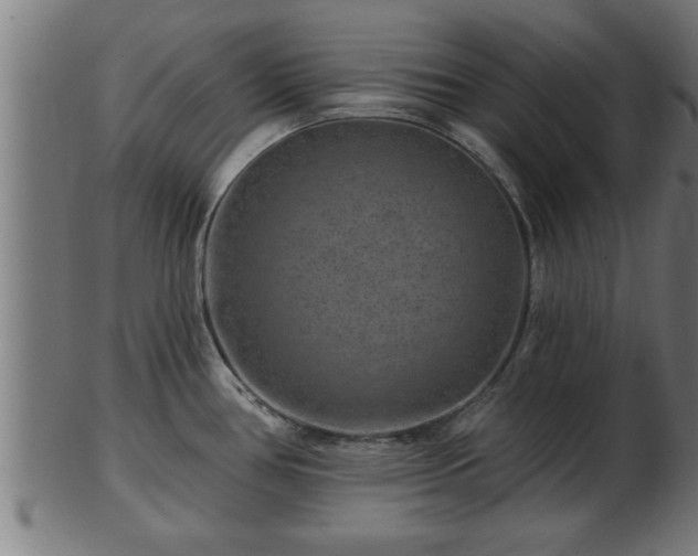 X0000103321386200809121137