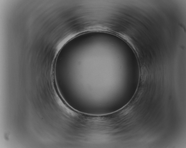 X0000103321387200809121137