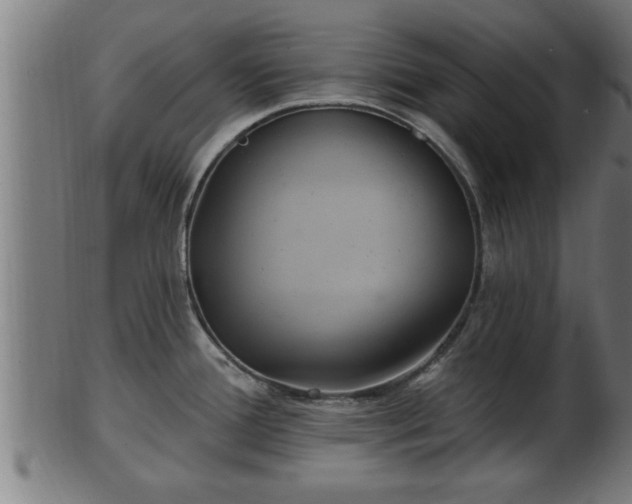 X0000103321388200809121137