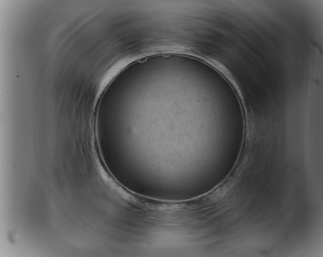 X0000103321389200809121137