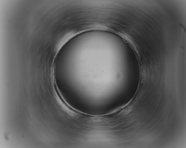 X0000103321391200809121137