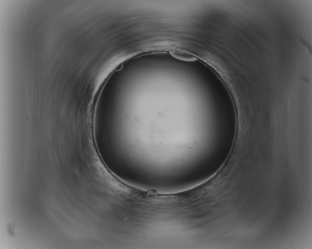 X0000103321392200809121137