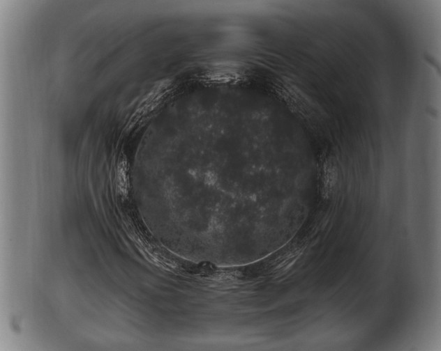 X0000103321394200809121137