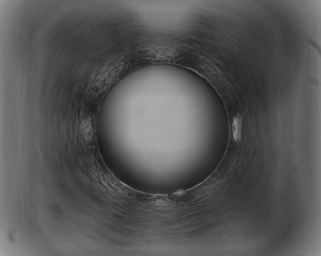 X0000103321395200809121137