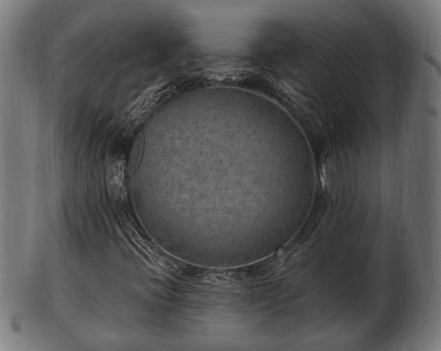 X0000103321396200809121137