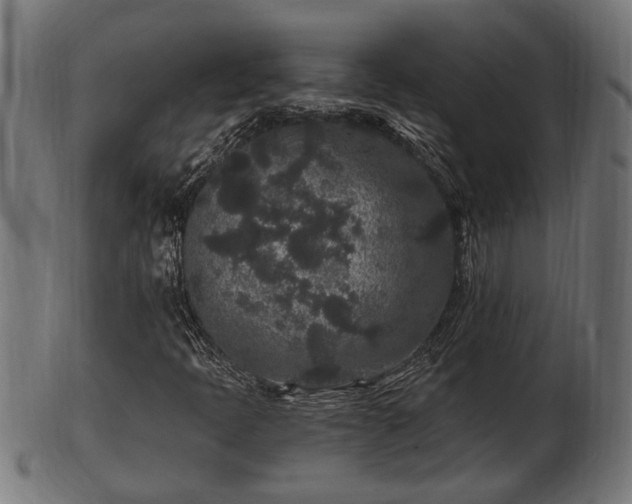 X0000103321397200809121137