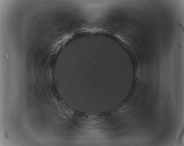 X0000103321398200809121137