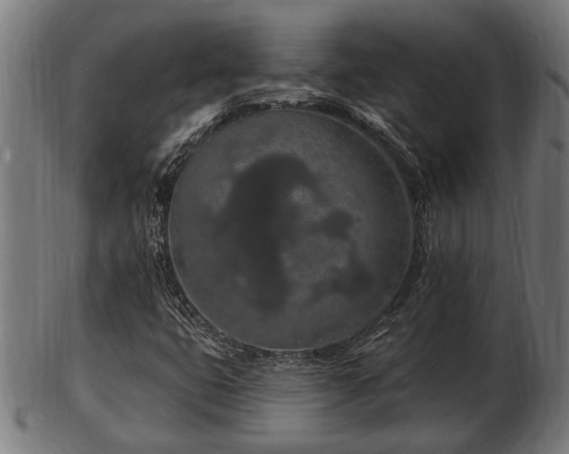 X0000103321399200809121137