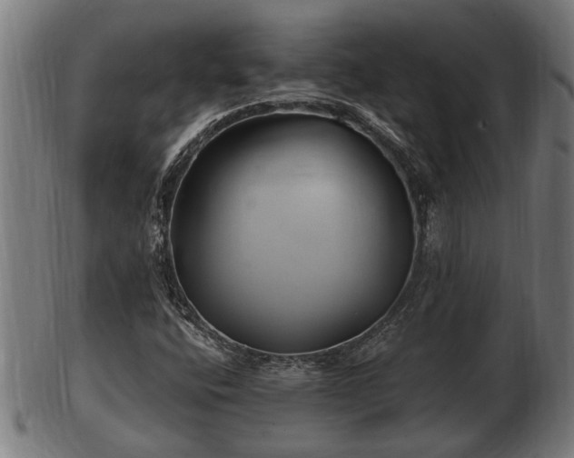 X0000103321400200809121137