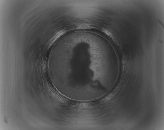 X0000103321401200809121137