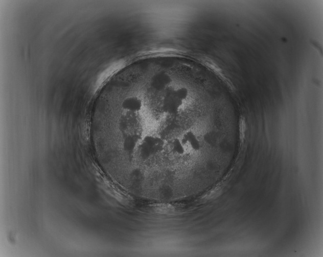 X0000103321405200809121137