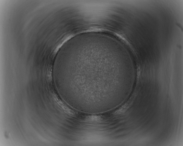 X0000103321409200809121137