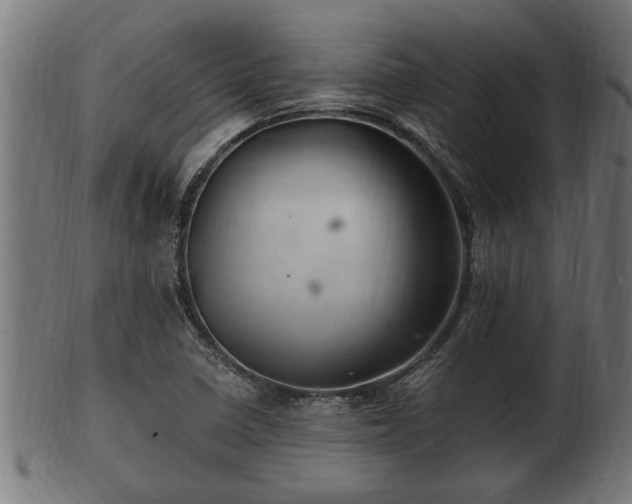 X0000103321410200809121137