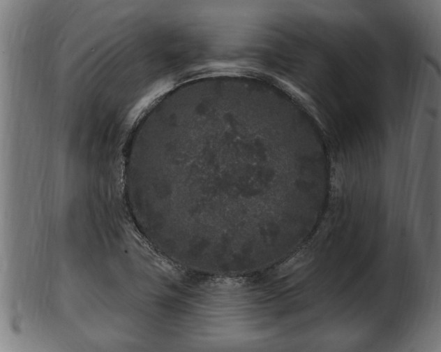 X0000103321411200809121137