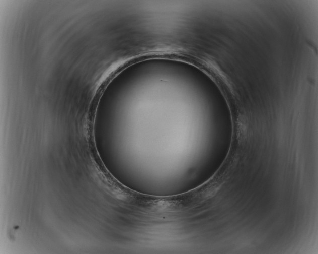 X0000103321412200809121137