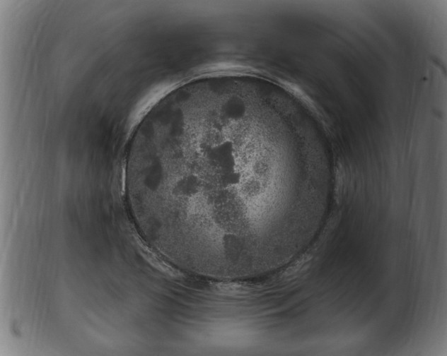 X0000103321413200809121137