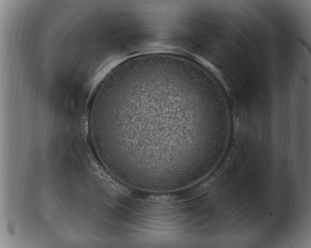 X0000103321415200809121137