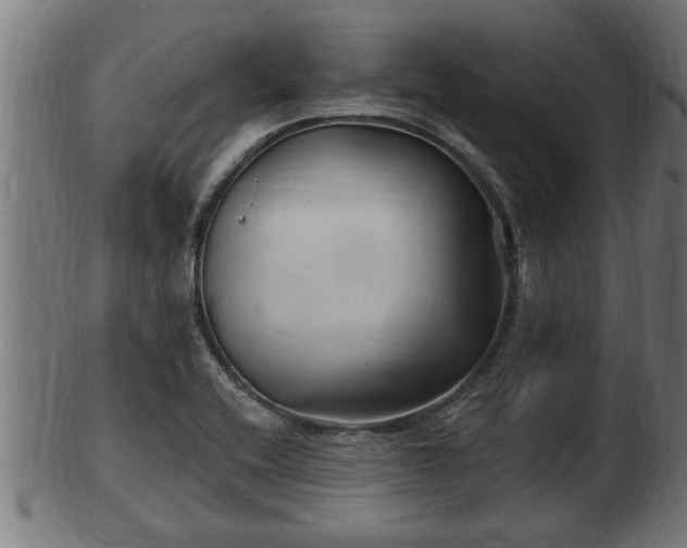 X0000103321416200809121137