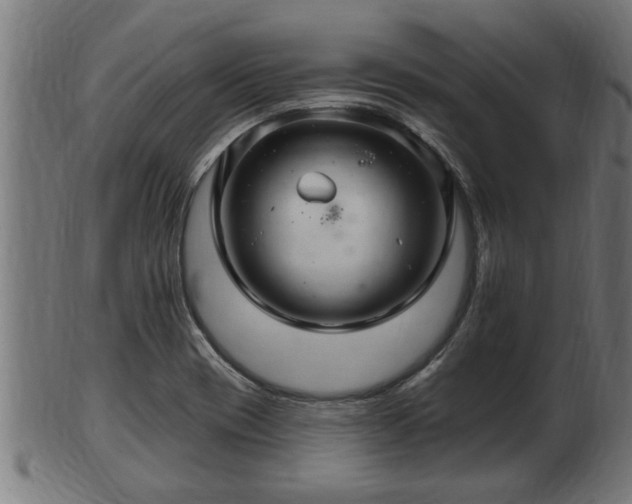 X0000103321417200809121137