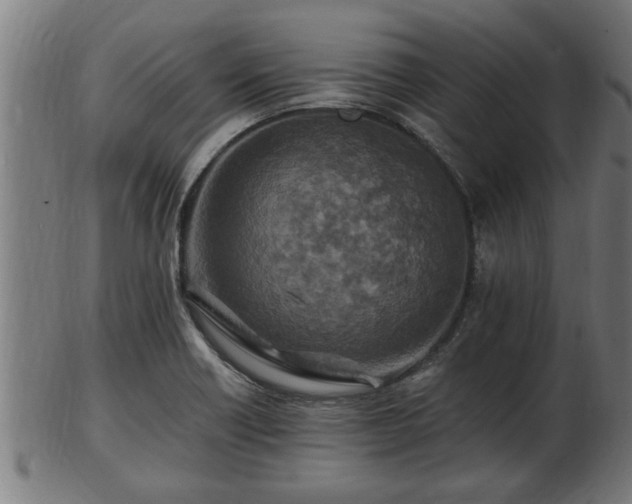 X0000103321418200809121137