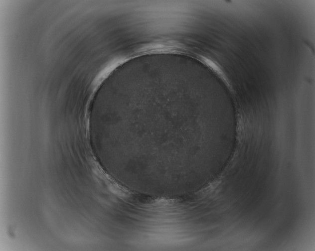 X0000103321419200809121137