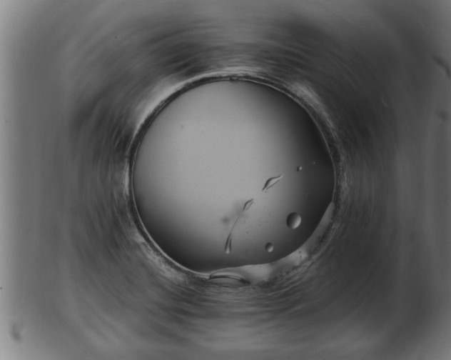 X0000103321420200809121137