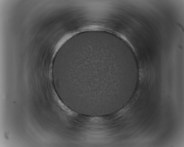 X0000103321421200809121137