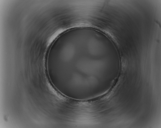 X0000103321422200809121137