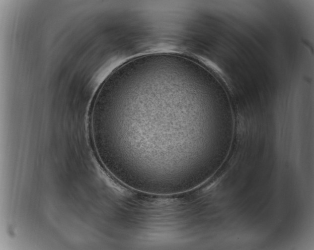 X0000103321423200809121137