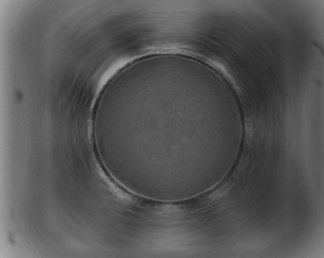 X0000103321424200809121137