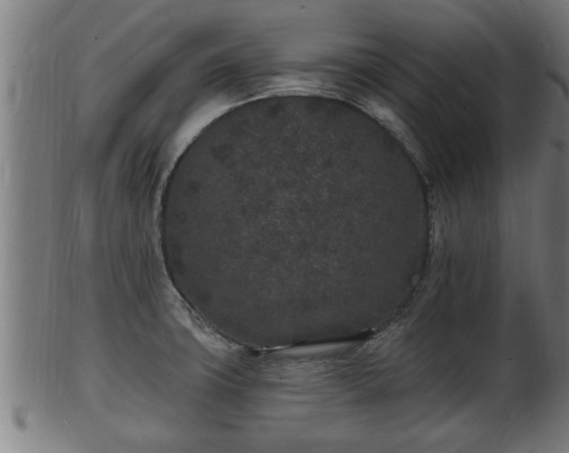 X0000103321427200809121137