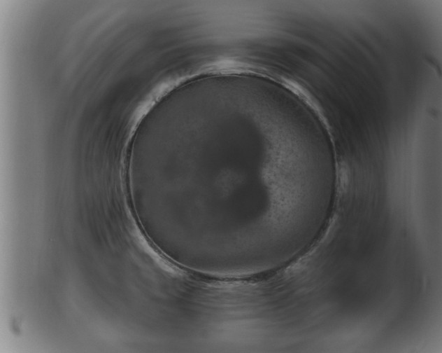 X0000103321429200809121137