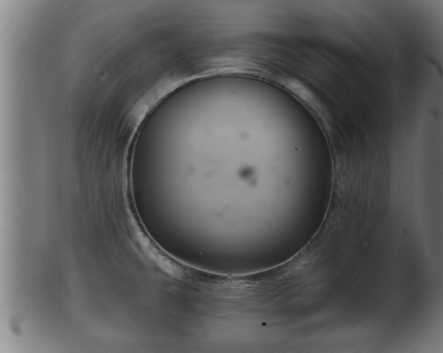 X0000103321431200809121137