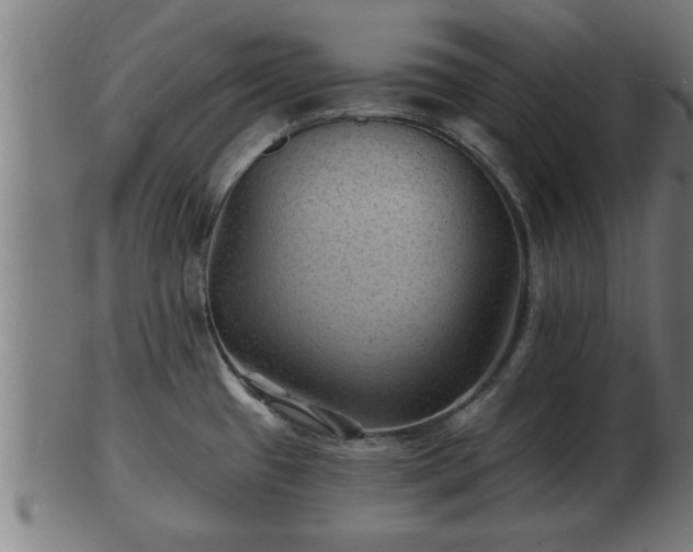 X0000103321433200809121137