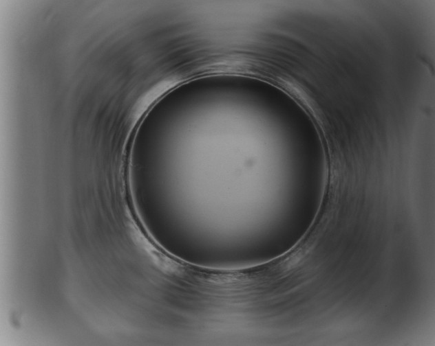 X0000103321434200809121137