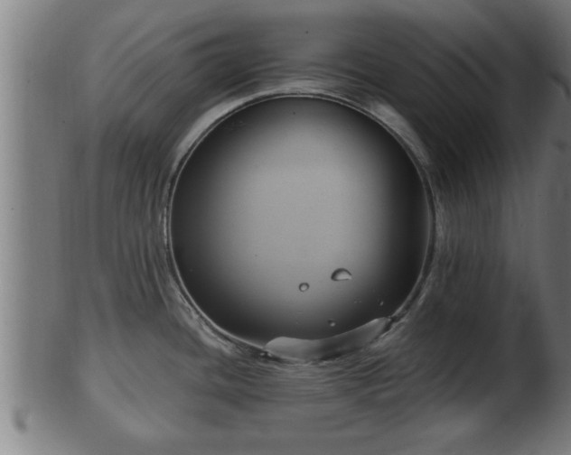 X0000103321436200809121137