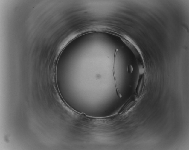 X0000103321437200809121137