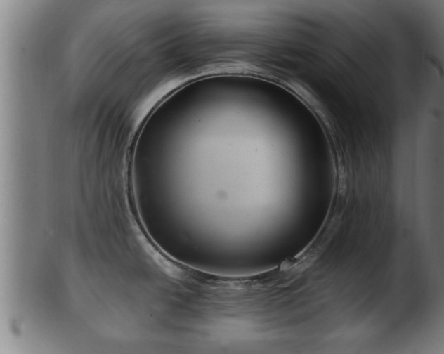 X0000103321438200809121137