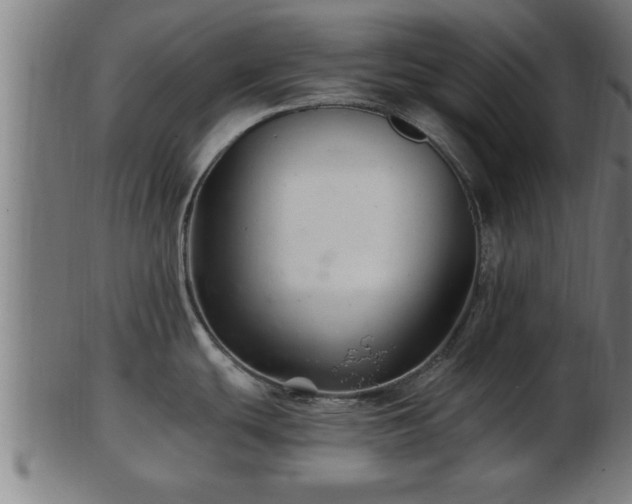 X0000103321439200809121137