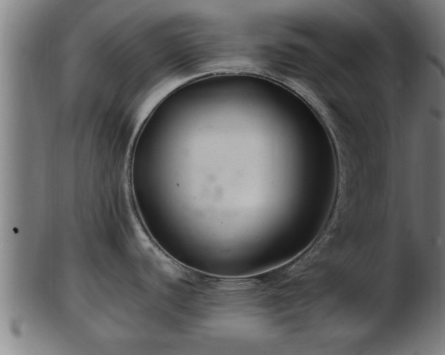 X0000103321440200809121137