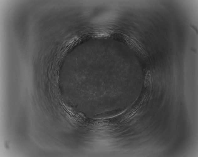 X0000103321441200809121137