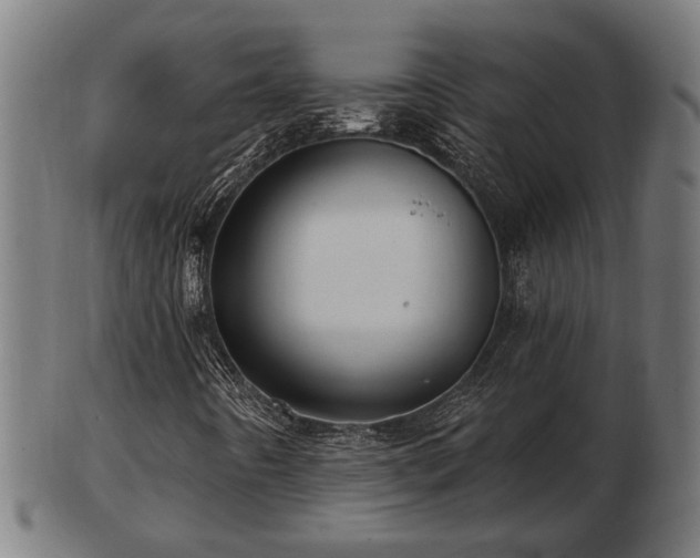 X0000103321442200809121137