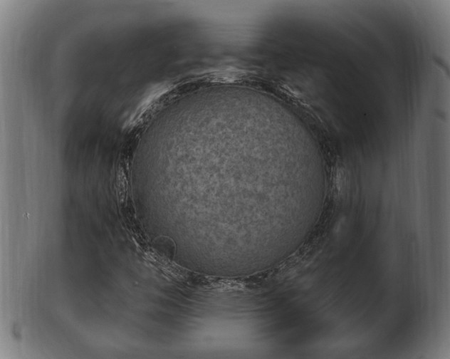 X0000103321446200809121137