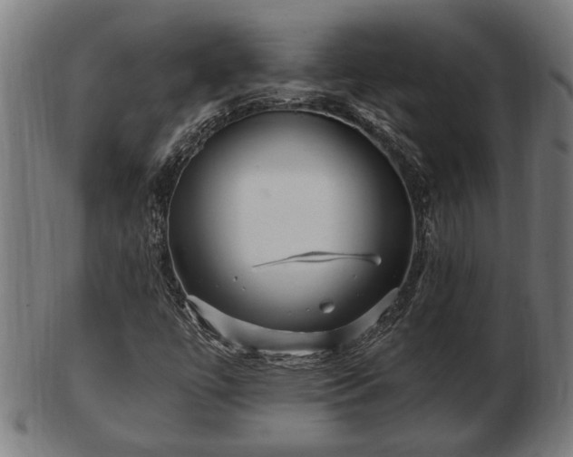 X0000103321447200809121137