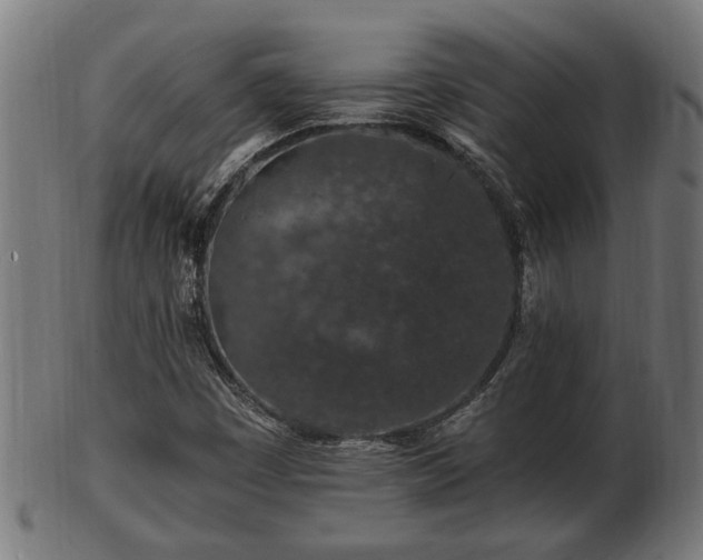 X0000103321449200809121137