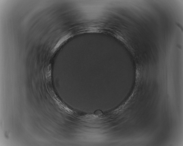 X0000103321450200809121137