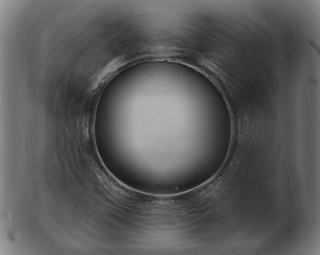 X0000103321451200809121137